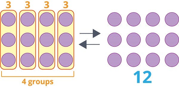 Multiplication and Division