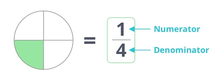 Fraction 1/4 numerator denominator diagram.