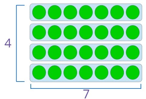 4 groups of 7 circles in each group