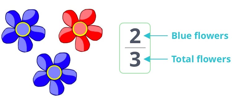 two blue flowers and one red flower. 2/3 are blue.