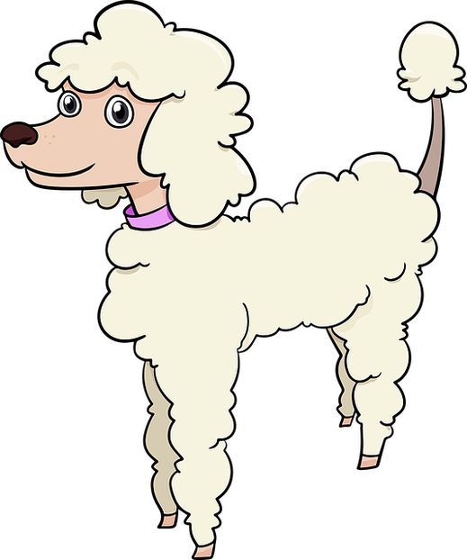 Poodle