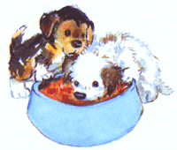 Puppies eating