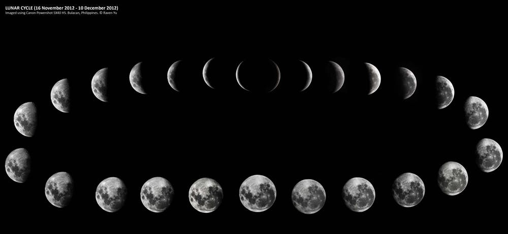 lunar cycle