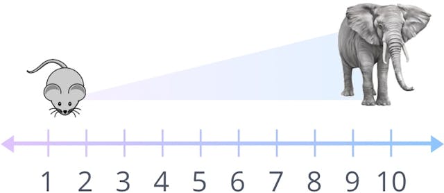 number line