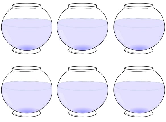 fish bowls