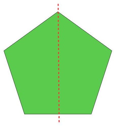 the pentagon divided into 2 parts