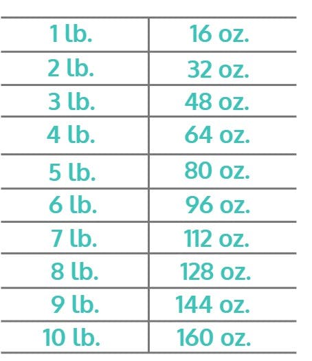 measurement equivalents