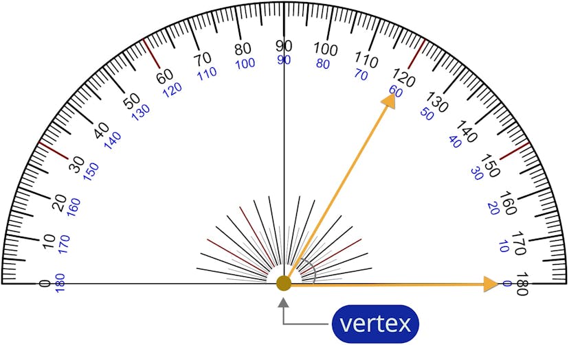 protractor